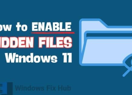How to Enable Hidden Files in Windows 11