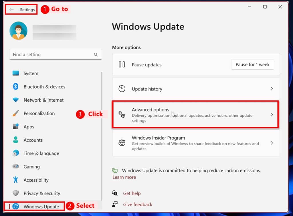 Click Advanced Options Under Windows Update