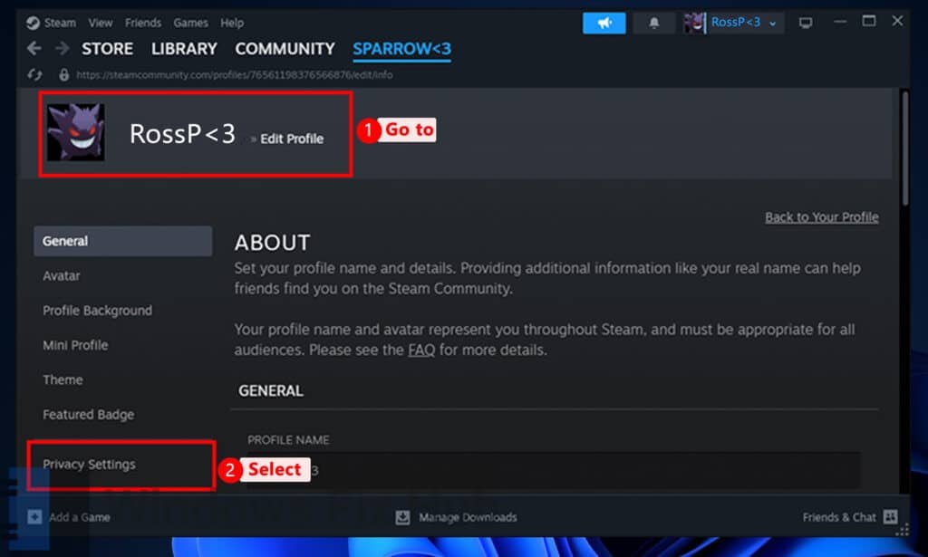 Click Privacy Settings on your Steam Profile