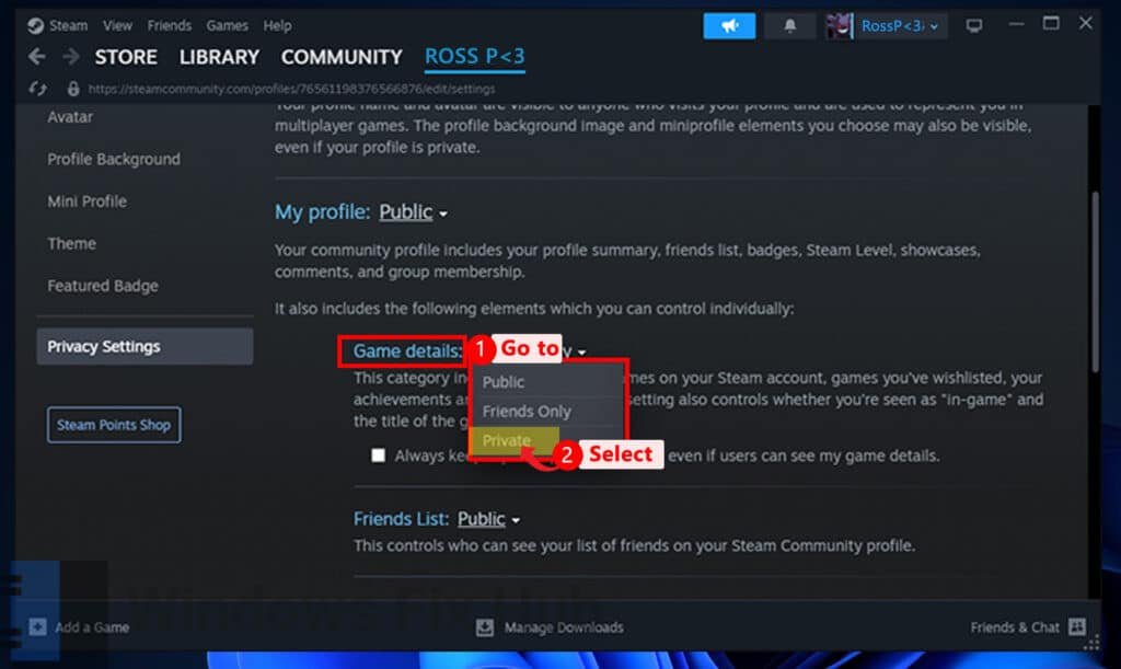 Set Steam Game Details to Private