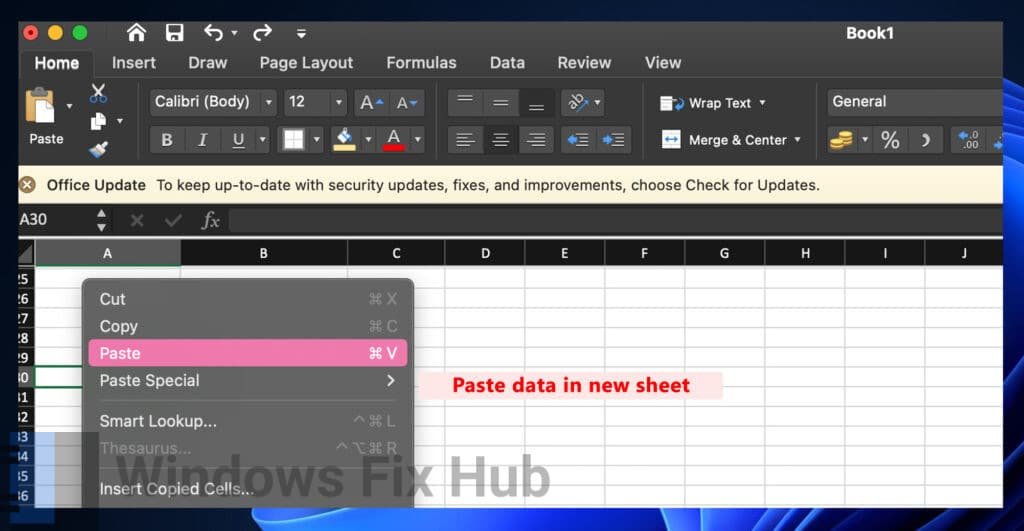 Paste data in new sheet