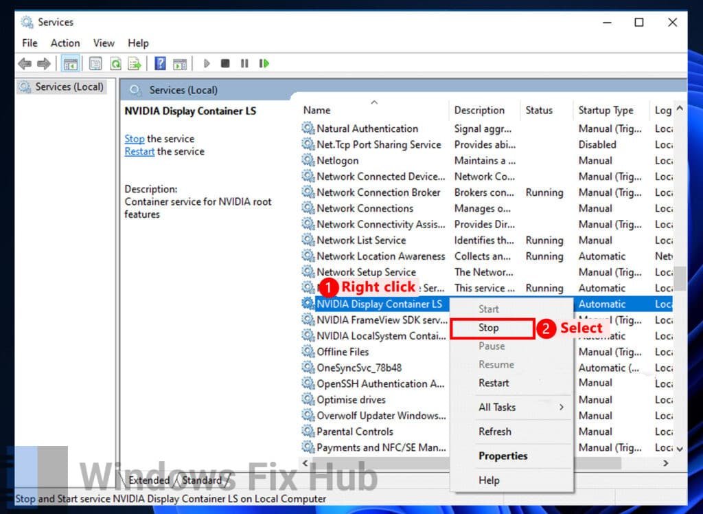 Stop NVIDIA Display Container LS Service