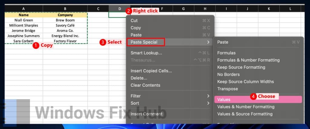 Use the Paste Special Option in Excel